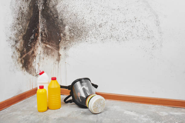 Best Bathroom Mold Remediation in Buchanan Dam, TX